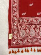 Lakhnowi chikankari work mulcotton saree |Rust red|LCMC004