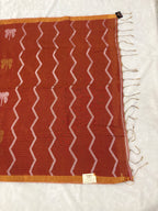 Tissue linen dragonfly saree with zari pallu | Orange|TL004